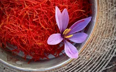 صادرات بیش از ۳۷ تن زعفران در ۳ ماه/ هنگ‌کنگ اولین مقصد طلای سرخ