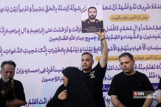 دبب