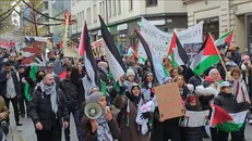 اجتماعات در مالمو سوئد در حمایت از فلسطین + فیلم