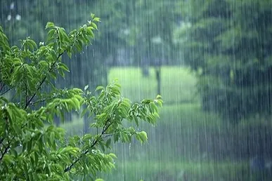 هشدار رگبار بارش‌های موسمی و تابستانه در ۴ استان تا روز سه‌شنبه