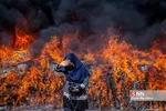 امحاء ۱۸ تن مواد مخدر در شیراز