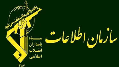 اعضای تیم فعال در زمینه ریزپرنده&zwnj;ها بازداشت شدند