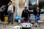 ماهی فروشان