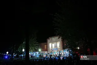 دبب