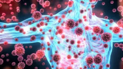 بسته&zwnj;های حاوی RNA در بدن انتی بادی ضد کرونا تولید می&zwnj;کند