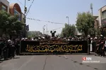وحید1
