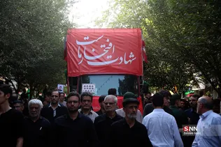 دبب