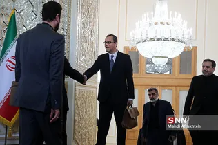 «کورنل فروتا» مدیرکل موقت آژانس بین‌المللی انرژی اتمی 