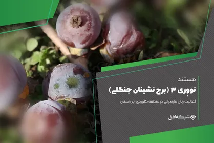 &laquo;برج&zwnj;نشینان جنگلی&raquo; به شبکه افق می&zwnj;آیند