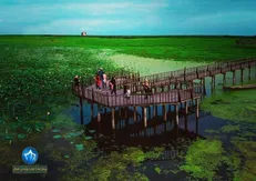 بیش از ۵ هزار هکتار از اراضی تالاب بندر انزلی سنددار شد