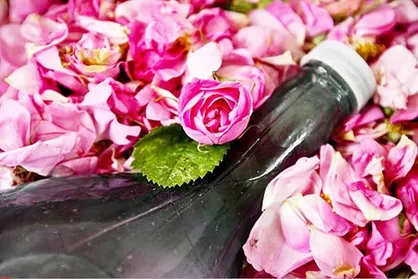فواید &laquo;گلاب درمانی&raquo;