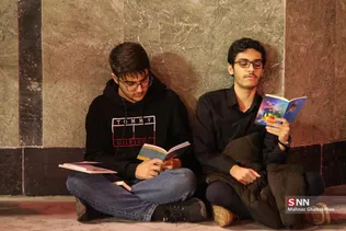 دبب