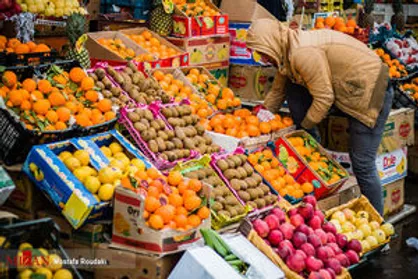 فروش اجباری میوه&zwnj;های شب عید در میادین میوه و تره&zwnj;بار