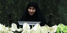 چنارانی: با استانی شدن انتخابات متصلین به لابی‌های اقتصادی بر کرسی مجلس تکیه خواهند زد