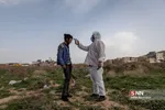 یلی