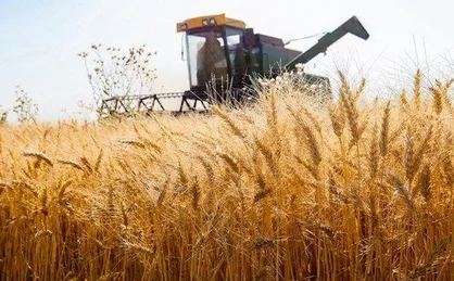 اجرای طرح جهش تولید در ۵.۲ میلیون هکتار دیم&zwnj;زار کشور با همت ستاد اجرایی فرمان امام&zwnj;