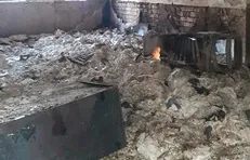 کتابخانه‌ای را که اغتشاشگران آتش زدند، مردم دوباره می‌سازند