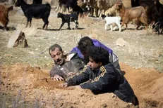 فیلم کوتاه «کبود» آماده نمایش می‌شود/ سرباز کردن زخم کهنه به بهانه مرگ