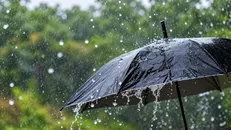 بارندگی و رعدوبرق در قم امروز و فردا
