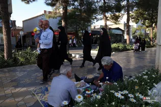 فطر