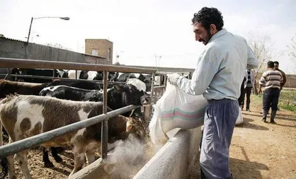 مسائل استانی؛ از درخواست دامداران یزدی تا مطالبه سیب&zwnj;زمینی&zwnj; کاران اردبیلی / عملکرد مدیریت شهری گرگان زیر ذره&zwnj; بین فرماندار/ ابهامات استقلال معدن مس سونگون