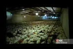 رونمایی از مستند «بانو»