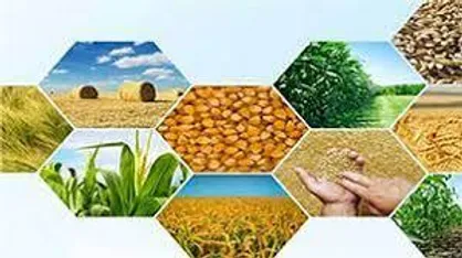 حمایت از برگزاری رویداد&zwnj;ها و طرح&zwnj;های حوزه تامین امنیت غذایی