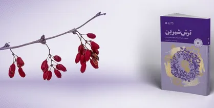 &laquo;ترشِ شیرین&raquo;؛ حکایت یک پیوند ارزش&zwnj;آفرین
