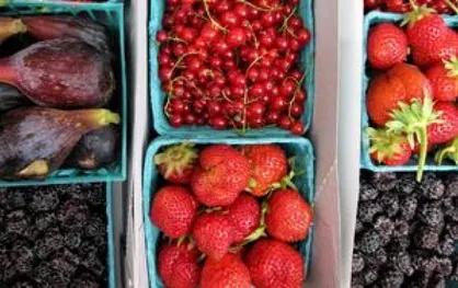 این مواد غذایی بدن را از کم آبی نجات می&zwnj;دهد