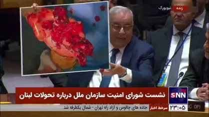 آسیب حمله تروریستی بیروت به غیر نظامی&zwnj;ها