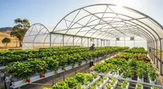 کلنگ‌زنی شهرک گلخانه‌ای ۱۸ هکتاری واشیان پلدختر در لرستان