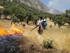 مهار آتش‌سوزی در نیزارهای اطراف پارک ملی دریاچه ارومیه