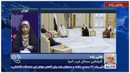هانی زاده:سفر وزیر خارجه امارات به سوریه و مشاور امنیت ملی این کشور به تهران حکایت از تغییر رویکرد کشورهای منطقه دارد