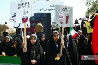 دبب