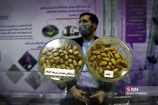 سیشسیبر