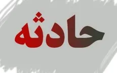 پلیس ۵۰ دزد را از لانه‌های سیاه بیرون کشید