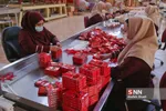 زعفران کارخانه