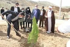 کاشت ۴۰۰ نهال در دانشگاه شیراز به همت دانشجویان