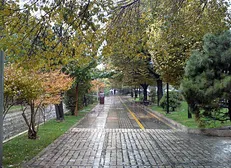 دستگیری قاتل فراری با تیراندازی پلیس در بلوار کشاورز تهران + جزئیات