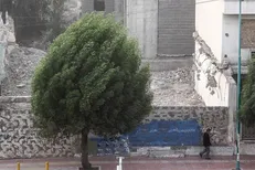 تند باد تا عصر امروز  جمعه مهمان آسمان ایلام