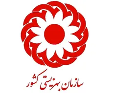 پارلمان دانش‌آموزان تحت پوشش بهزیستی تا پایان سال راه‌اندازی می‌شود