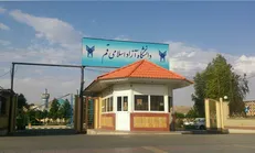 دانشگاه آزاد قم تاکیدی بر برگزاری امتحانات به صورت حضوری ندارد + فیلم