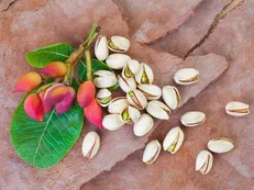 پسته؛ ظرفیت مغفول ارزآوری در شرایط فعلی