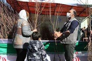 دانشگاه تهران، دانشگاه دوستدار محیط زیست