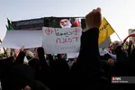 دبب