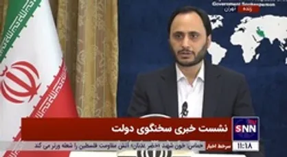واکنش سخنگوی دولت به بازداشت دو مدیر ارشد در سازمان محیط زیست: گشت ارشاد مدیران به شدت فعال است