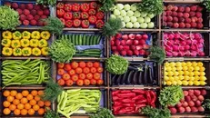 فهرست تخصیص ارز کالا‌های اساسی اعلام شد+جدول