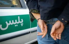 دستگیری  سارقین در معابر و اماکن شهرستان اردل