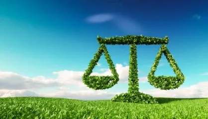 حکم سبز قاضی برای یک متخلف زیست محیطی