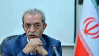 شافعی: کاش با ترکیه موافقت&zwnj;نامه تجارت ترجیحی نمی&zwnj;بستیم
